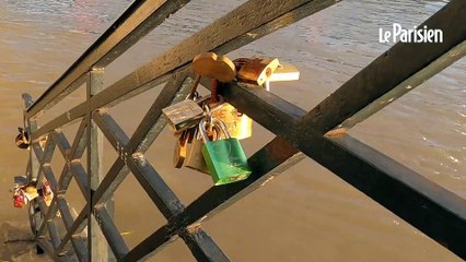 Télécharger la video: Crue de la Seine : les Parisiens affluent pour photographier le fleuve qui déborde