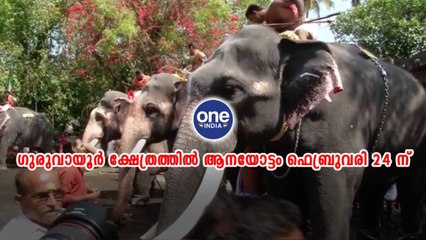 തൃശ്ശൂര്‍; ഗുരുവായൂർ ക്ഷേത്രത്തിൽ ആനയോട്ടം ഫെബ്രുവരി 24 ന്