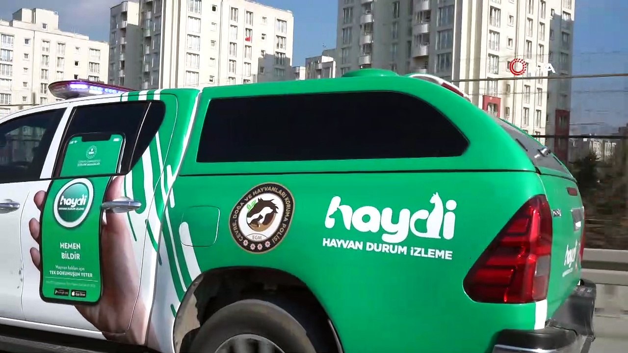 Polislerle sokak hayvanları arasındaki dostluk yürekleri ısıttı