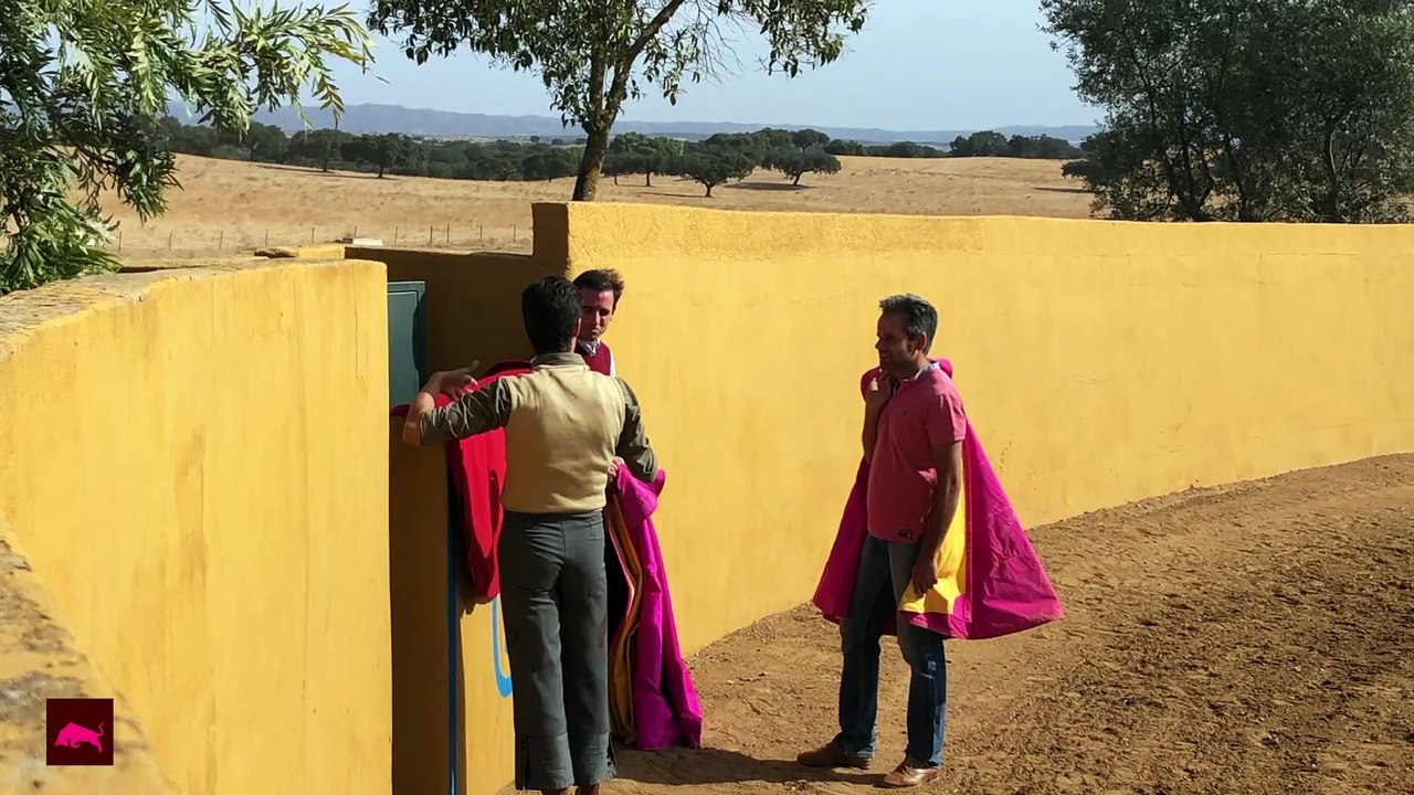 Condessa de Sobral (II): sangre española en Portugal 05.02.2021. MARCOS SANCHIDRIÁN