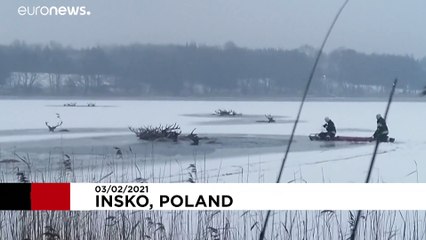 Un troupeau de rennes secouru dans un lac gelé en Pologne