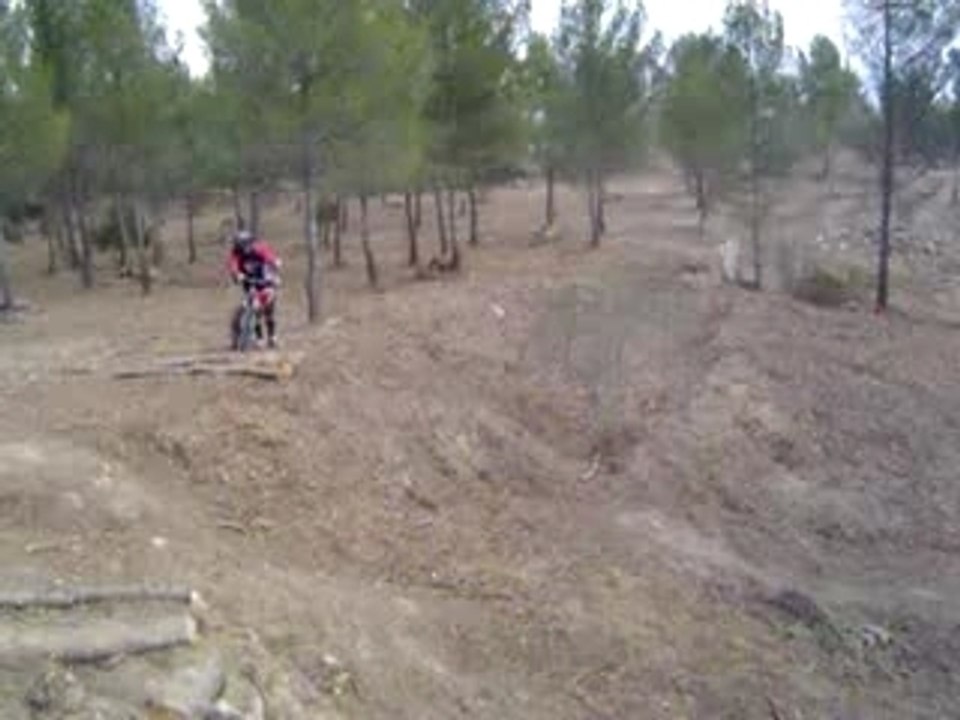 BRICE ROAD GAP LUNA