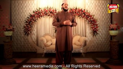Zulfiqar Ali Hussaini - Dar e Nabi Per naat || Naat Sharef
