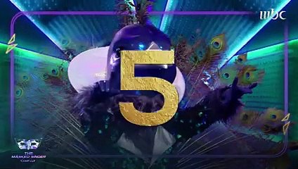 شاهد اللحظة التي كشفت فيها الطاووس عن شخصيته الحقيقية