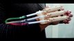 X-MEN WOLVERINE Claws fully automatic DIY tutorial - Popsicle sticks