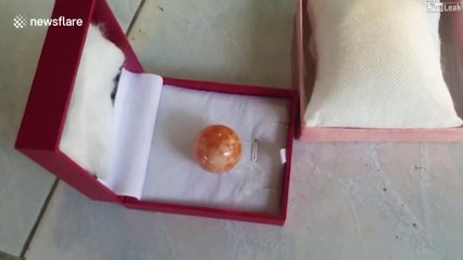 Ce pêcheur Thaïlandais découvre une perle orange d'une valeur de 340.000$