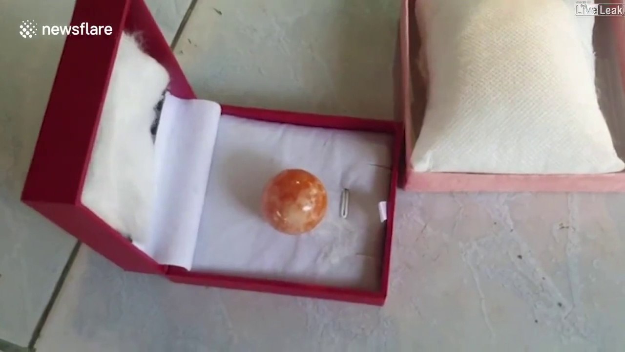 Ce pêcheur Thaïlandais découvre une perle orange d'une valeur de 340.000$