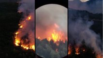 Incendio forestal en la Patagonia