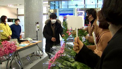 화훼 농가 살리자!..."꽃 한 송이라도" / YTN