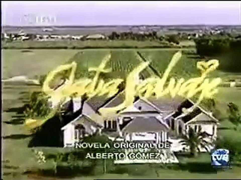 Gata salvaje - entrada