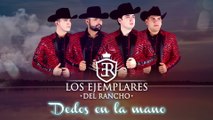 Los Ejemplares Del Rancho - Dedos En La Mano