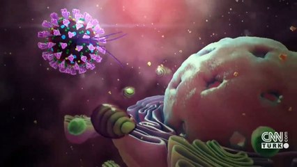 "Probiyotik hastalıkları önlüyor"