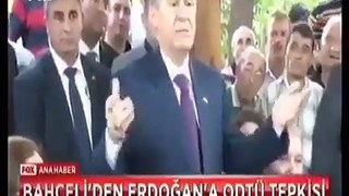 Devlet Bahçeli'den Gezi'ye destek:  