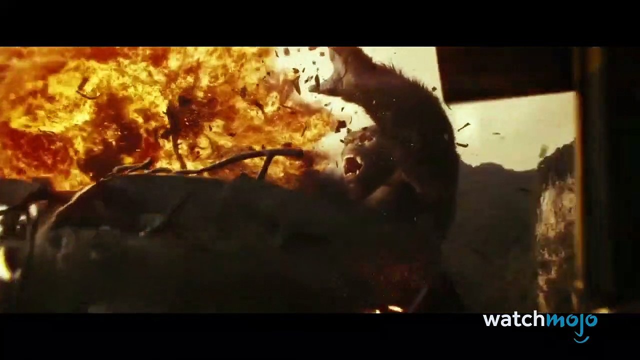 Top 10 MIGLIORI SCONTRI di KING KONG nei FILM!