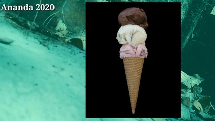 Ek Bar is Video Ko Dekho Or Maje Uthaw  | Ananda2020