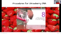 Science Sundays: Extracting DNA from a Strawberry (FULL EXPERIMENT)