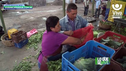 Buen Gobierno fortalece programa de producción y educación técnica en el campo