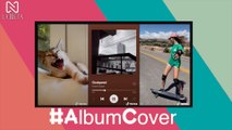 Cualquier cosa puede ser la portada de un  a´lbum, míralas y haz las tuyas en Tiktok #AlbumCover