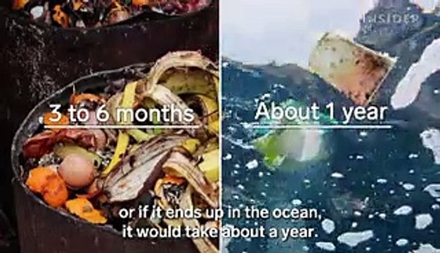 Scientists are making flip-flops out of algae that are 100% biodegradable — and it could reduce plastic pollution