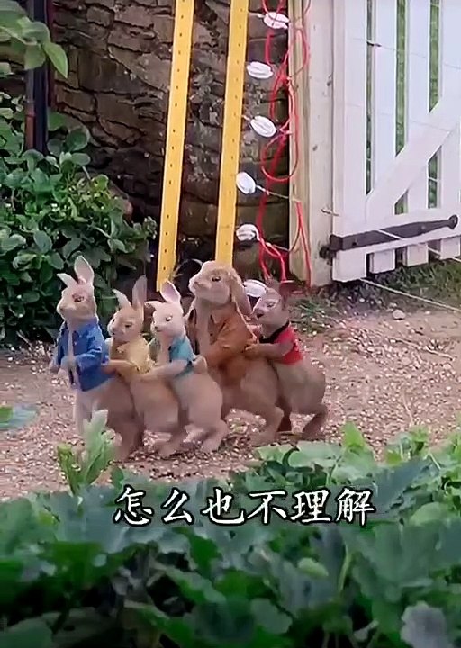 网络的世界