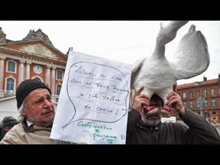 Grippe aviaire : "Il y a un changement à opérer dans les modes de production"