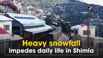 Heavy snowfall impedes daily life in Shimla