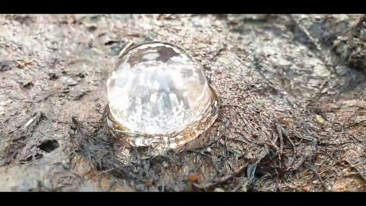 Unbelievable Fishing Technique _ Natural Stinging Catfish Come Out from Underground Dry-Fish-Hole  CreativeVilla