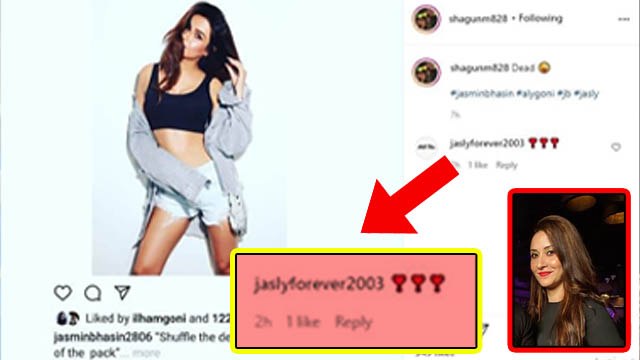 Bigg Boss 14; Jasmin की फोटो को Aly की बहन Ilham Goni ने किया Like; Jasly फैंस खुश | FilmiBeat