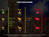 Le réchauffement menace près d’une espèce sur deux dans les écosystèmes