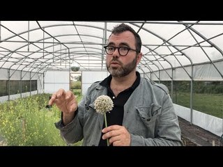 Olivier Darné : « la nourriture comme fait culturel majeur »