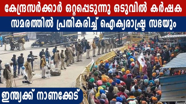 Farmers' Protest: UN Human Rights calls for 'maximum restraint' by govt, protesters