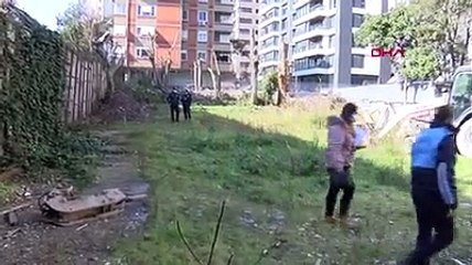 Kadıköy'de fıstık çamı gerginliği; mahalleli tepk gösterdi, ağacı kesenler böyle kaçtı