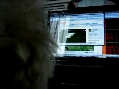 Y'a mes copains poilus à la télééééééé !