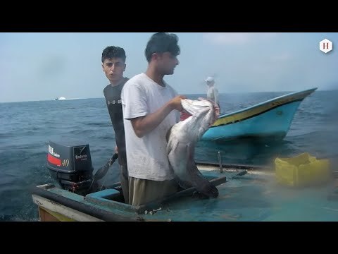 Palestine - Les pêcheurs gazaouis luttent pour leur survie