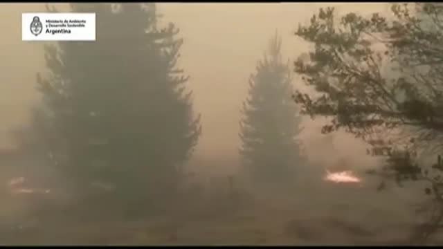 Los bomberos luchan contra un incendio sin control en la región argentina de Río Negro