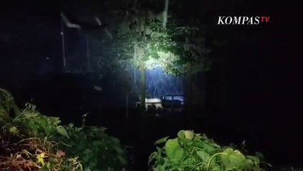 TNI-Polri Dilibatkan Bantu Pencarian Harimau Lepas di Sinkazoo