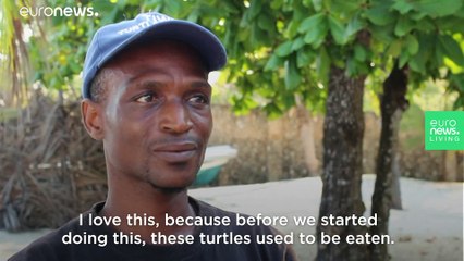 This baby boom in Kenya is helping to save an endangered species