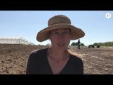 Dans la ferme d'Yseult, sage-femme reconvertie en paysanne grâce aux Amap - Reportage