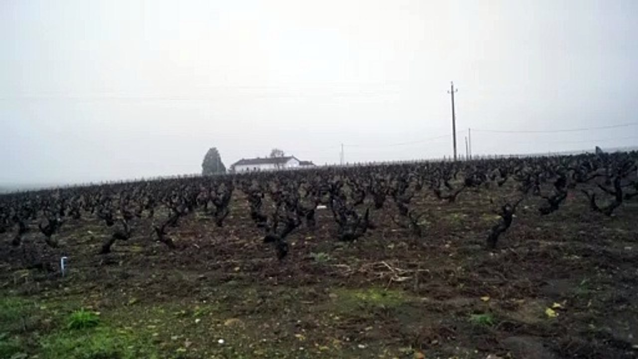 MACON-INFOS : Ciel jaune en Mâconnais