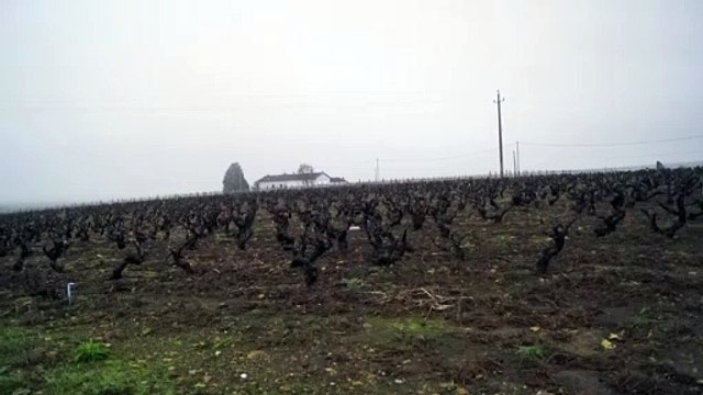 MACON-INFOS : Ciel jaune en Mâconnais