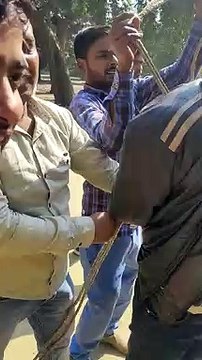 सीतापुर: चोरी करते हुए चोर को ग्रामीणों ने रंगे हाथों दबोचा