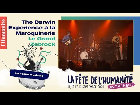 The Darwin Experience à la Maroquinerie pour le Grand Zebrock - Fête de l'Humanité 2020