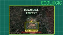 Ecologic | Turahalli Forest to be a Tree Park?