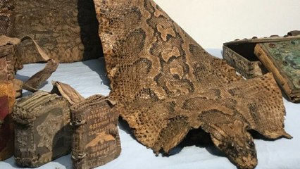 Şanlıurfa’da ele geçirildi, Ortaçağ’a ait Mısır kökenli