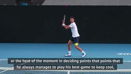 Djokovic a Serbian icon - Ivanovic