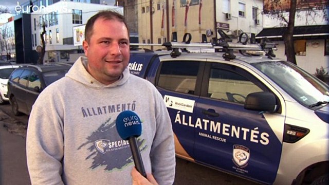 Заказал пиццу — приюти щенка