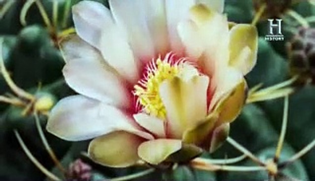 INEXPLICABLE  MISTERIOS DE LA BIBLIA