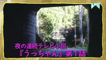 バラエティ 無料視聴 - バラエティー無料視聴 動画　9tsu　Miomio -   LIFE！人生に捧げるコント 動画　9tsu  2021年2月6日