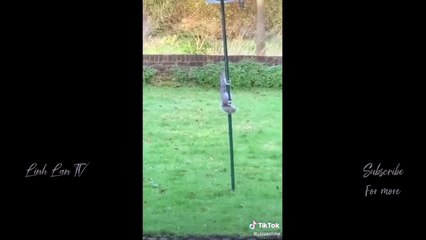 Funny Moments Of The Year Compilation 3