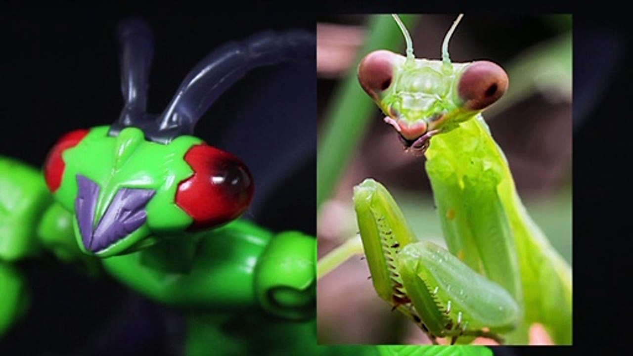 Transformers - "Beast Wars" Manterror Review